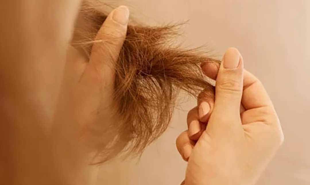 건조하고 곱슬거리는 머릿결 관리하는 홈케어 방법